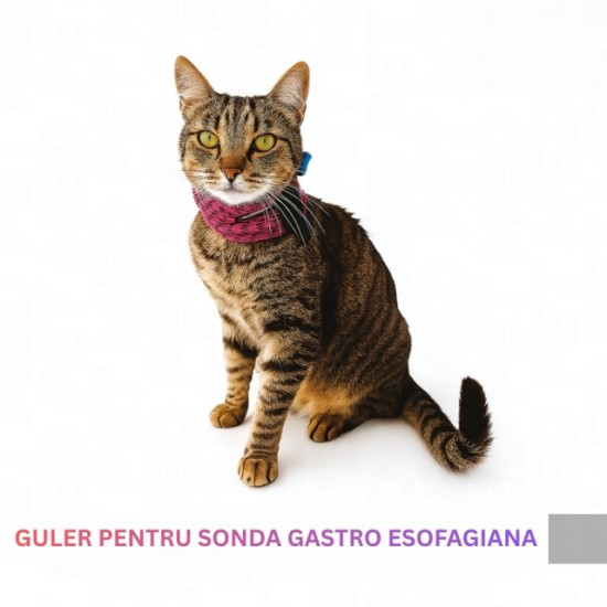 Guler pentru Sondă Esofagiană Roșu Nr. 2 reglabil pentru Pisici (Circumferință Gât 22–30 cm)